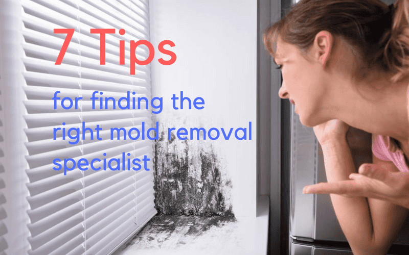 7 questions to ask your mold removal specialist