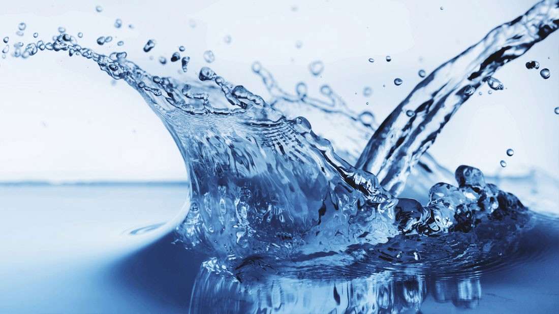 water is one of the leading factors in mold growth